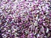 ������� � ����������: ������ ������ ������ �������