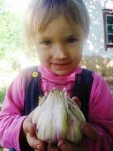 ������ ������ ������ ������� �� ������� ����� - ����������� 1