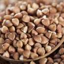 ������ ������ ������. ��������� ����