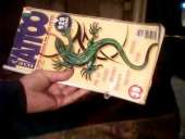 ������ ������ ������ ���������� ������ �� 1999 ��� - ����������� 2