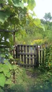 ������ ������ ������� - ����������� 1