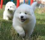 ������ ������ ������� - ����������� 2