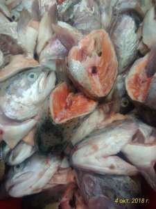 ������ ������ ������� - ����������� 1