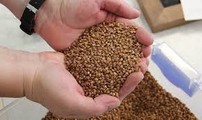 ������ ������, �������. ³� 5 ���� - ����������� 1