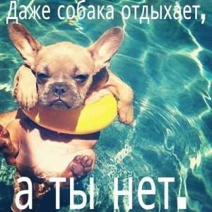 ������ ������, ������� ����, ���������� - ����������� 1