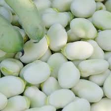 ������ ������ | ������� ������� | ��� - ����������� 1