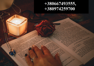 ������ ������. �������, �������. ������� �� ����. - ����������� 1