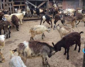 ������ ������ �������� - ����������� 1