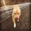 ������ ������ ��.������) - ����������� 2