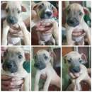 ������ ������ ��.������) - ����������� 3