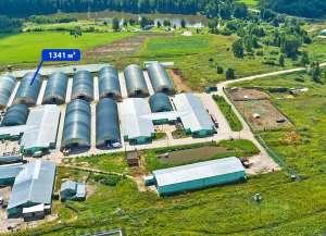 ������ ������ �������� - ����������� 1