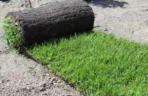 ������ ������ �������� - ����������� 1