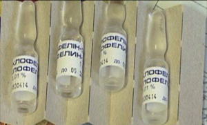 ������ ������ �������� � ������� - ����������� 1