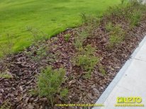 ������ ������, �������� ����, �������, �����, ���� 10 ��-�, ���� - ����������� 1