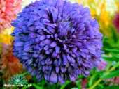 ������ ������ �������� ����� - ����������� 2