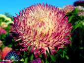 ������ ������ �������� ����� - ����������� 3