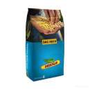 ������ ������ �������� ��������, ��������������� ����� - ����������� 3