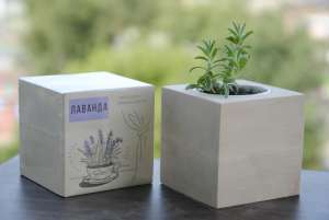 ������ ������, �������� ���������, ��������� ����, ��� - ����������� 1