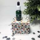 ������� � ����������: ������ ������ ��������� Golden Rose ��� ������� � ��������������.