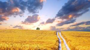 ������ ������ ��������� ��� - ����������� 1