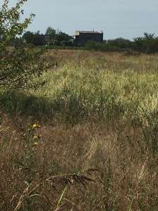 ������! ������ ��������� ������� - ����������� 1