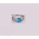 ������� � ����������: ������ ������ ���������. �������� ������������� ������