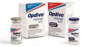 ������ ������ (���������) ��������� 100 �� � 40 ��. ������� �������� ���������, �������� �� ������� � ��������������� - ����������� 1