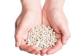 ������ ������. ��������� ���������. ������������ ����� ������ - ����������� 1