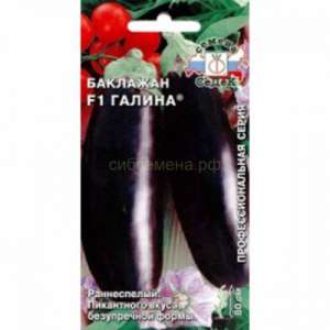 ������ ������ ���������� �� �������� ����� - ����������� 1