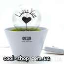 ������� � ����������: ������ ������, ����������, ����� � ������ - ������� ������� �� 8 �����