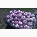 ������ ������. ���������� ����������. ������/����� ������ - �������/�������