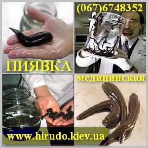 ������, ������ �����������. �������������. ������� - ����������� 1