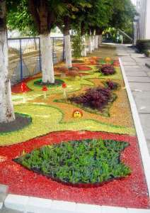 ������ ������ ������������ - ����������� 1