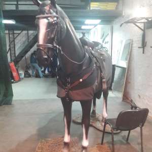 ������ ������ ������������ - ����������� 1