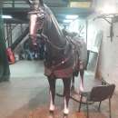 ������ ������ ������������. ������/����� ������ - �������/�������