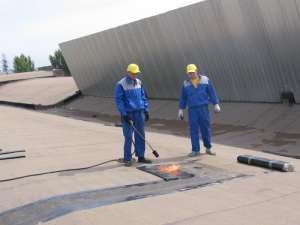 ������ ������ ������������ ������ - ����������� 1