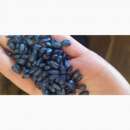 ������ ������ ������������� � �������� - ����������� 3