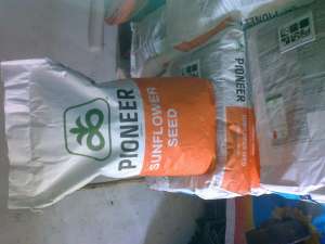 ������ ������ ������������� ������,�������� 1150���. 0999659222 - ����������� 1