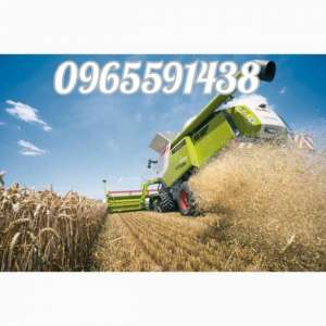 ������ ������ ��������,��������,������,��������� �����,�����������,����� �������,����������,�����������,�����. - ����������� 1