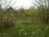 ������ ������� 12 ���. � ���. ����� . - ����������� 3