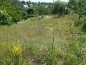 ������� � ����������: ������ ������� 12 ����� � ���������� ������ �������� �������.