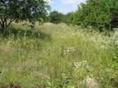 ������ ������� 12 ����� � ���������� ������ �������� �������. - ����������� 2