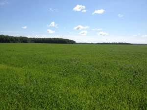 ������ ������� 3200 �������� - ����������� 1