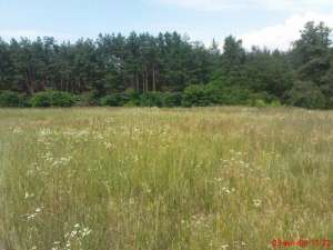 ������ ������� 40-�� �� ����� �����������- ����� ���� ��������� 15-����� ��� ��������� ����� �����. - ����������� 1