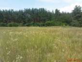 ������� � ����������: ������ ������� 40-�� �� ����� �����������- ����� ���� ��������� 15-����� ��� ��������� ����� �����.