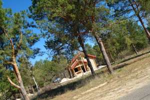 ������ ������� c. ��������, ���������� ������� ������� �����, ������� �� ������ ��������� ���� - ����������� 1