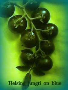 ������ ������� - ����������� 1