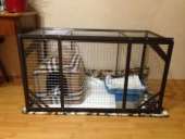 ������, �������. ��������, ����������� - ������