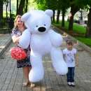 ������ ������� - ����������� 2