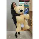 ������ ������� - ����������� 3